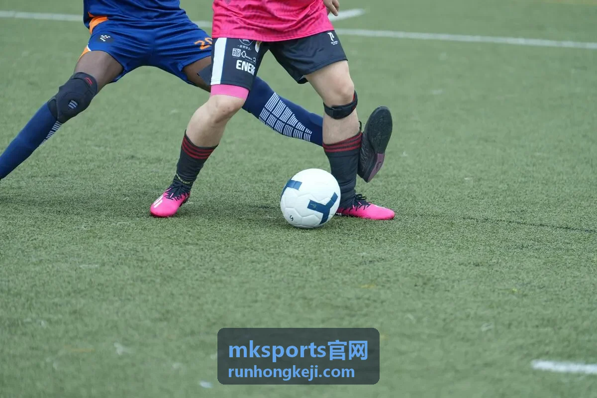 MKSports官网运动场馆解决方案场地示意