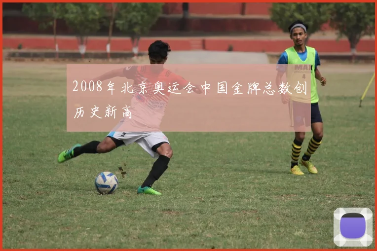 2008年北京奥运会中国金牌总数创历史新高