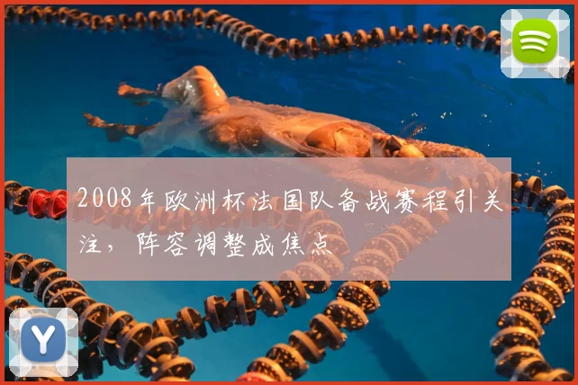 2008年欧洲杯法国队备战赛程引关注,阵容调整成焦点